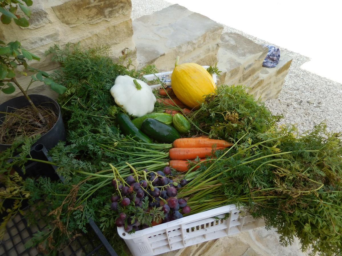 Agriturismo Terra Selvatica 발파브리카 외부 사진